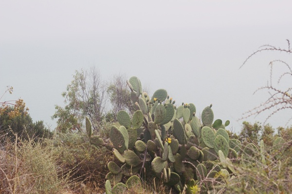 Oumayma B. Tanfous | Design Studio 210