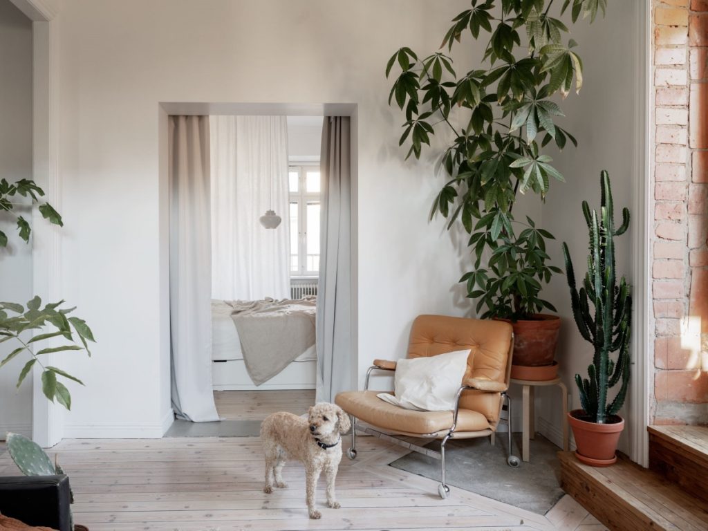 Image showcasing Scandinavian Bohemian Interior – Design Studio 210