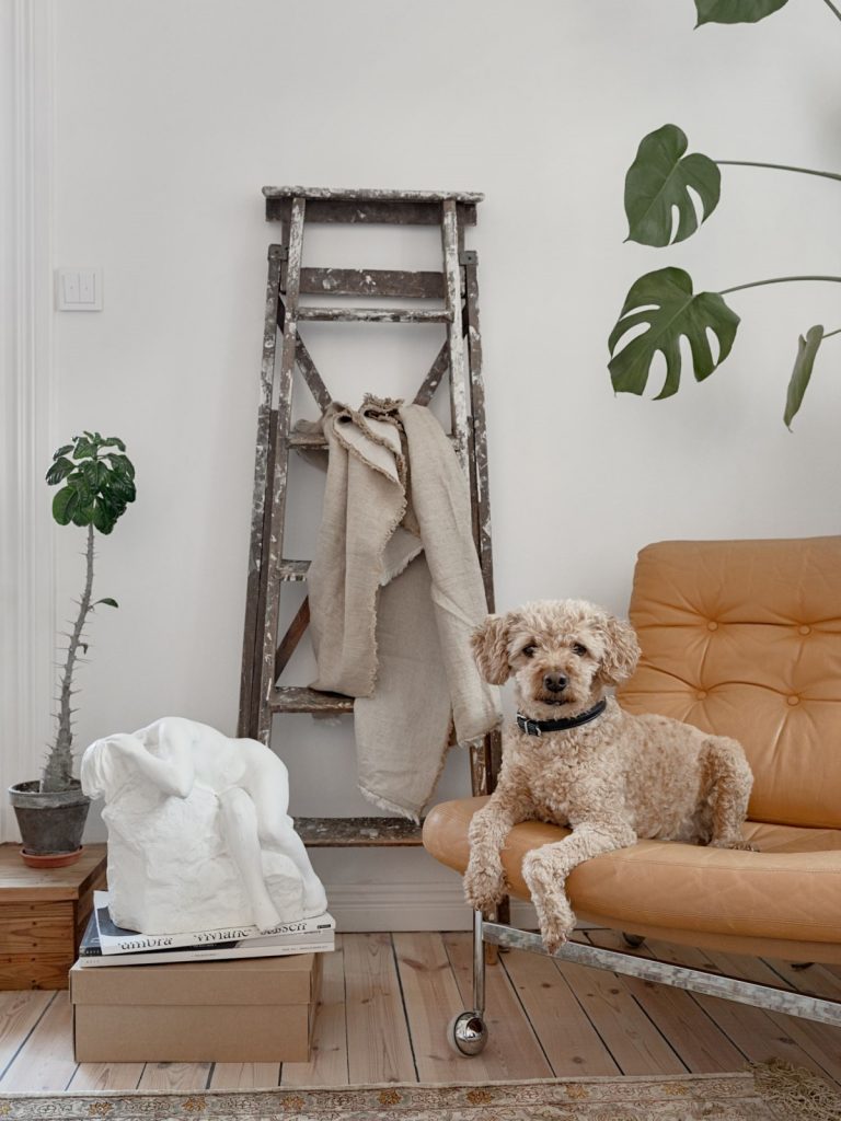 View of Scandinavian Bohemian Interior – Design Studio 210