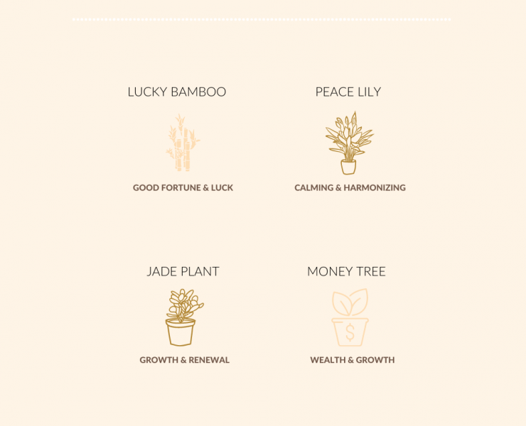 feng shui indoor plants