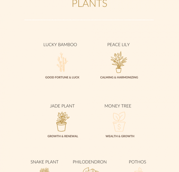 feng shui indoor plants