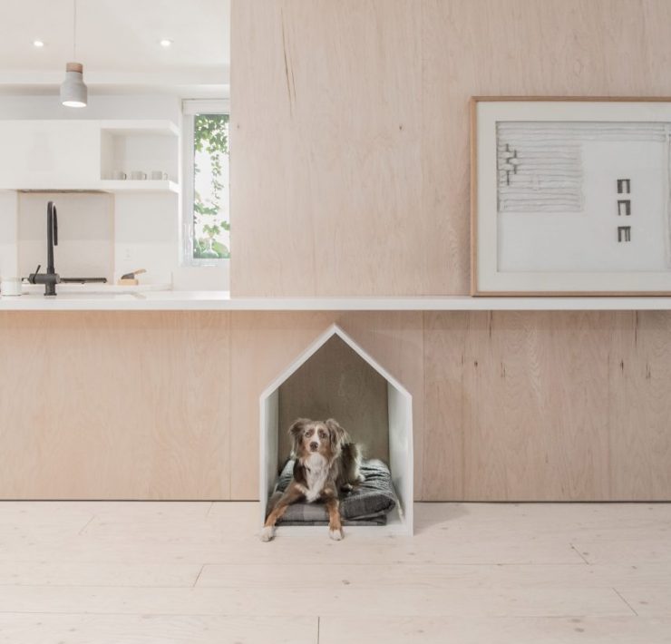 Dog interior ideas