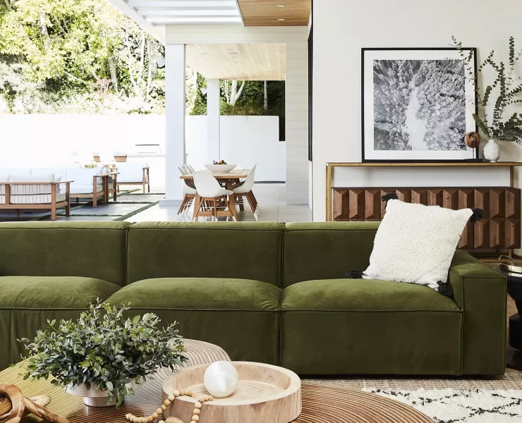 Green Couch Living Room ideas