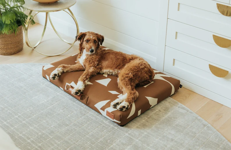Modern dog bed
