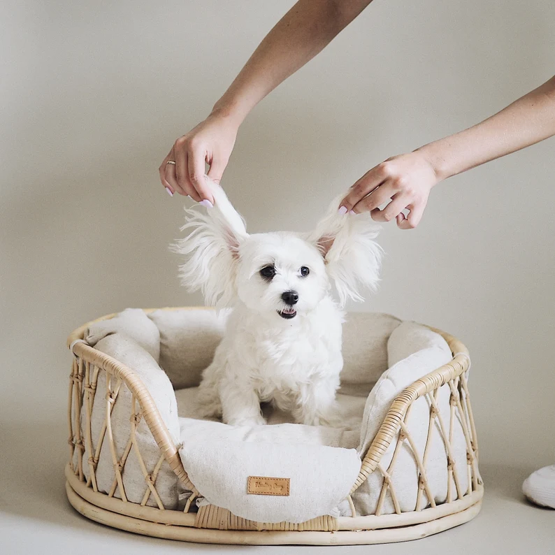 Dog bed basket
